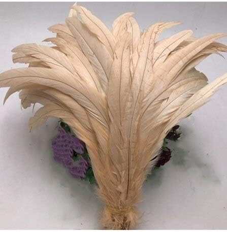 Selcraft Chicken Feather de 25 a 30 cm de galo natural penas de cauda para decoração artesanato christma