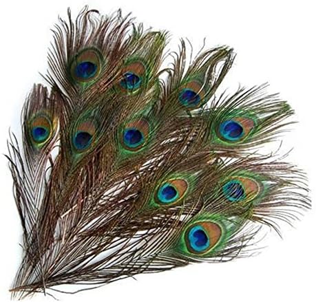 Braceus 10 PCs Palada natural de pavão com os olhos cauda penas para decoração de casa