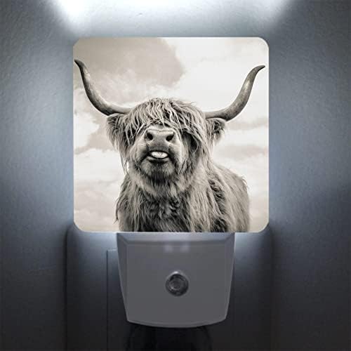 YOBVEC Highland Cow Night Light for Boys Girls Impred Led Lamp, Luzes noturnas Conecte -se ao entardecer