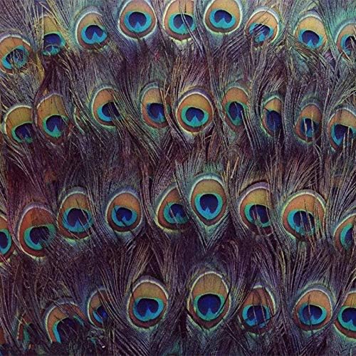 Zamihalla Natural Color Peacock Feather, Longo 25-32 cm de penas de pavão natural Plumagem de decoração