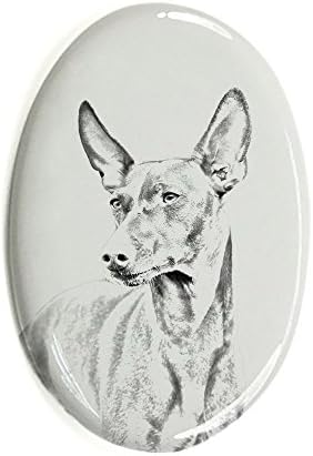 Cirneco dell'etna, lápide oval de azulejo de cerâmica com uma imagem de um cachorro