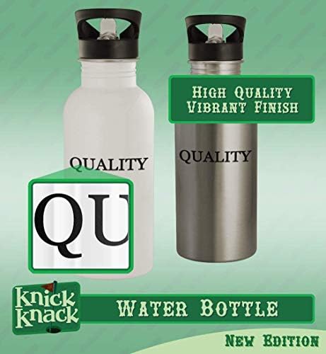 Presentes Knick Knack tem lunulite? - 20 onças de aço inoxidável garrafa de água, prata