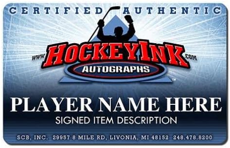 Danny Dekeyser assinou o logotipo da série NHL Stadium - Detroit Red Wings - Pucks NHL autografados