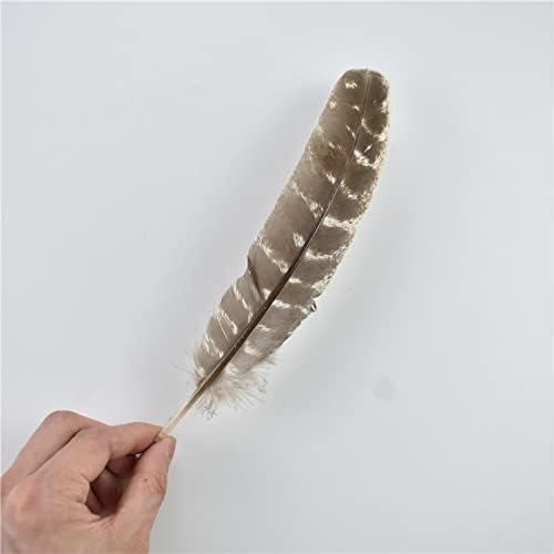 Zamihalaa 20-40cm/8-16 polegadas Real Feathers de águia natural aparar plumas de turky para artesanato decorações