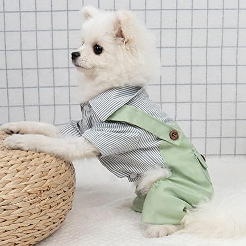 Roupas de cachorro de primavera Kawaii Dog Roupas para cães pequenos Camisa de cachorro fofa para