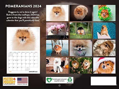 Calendário da Pomerânia 2024 Presentes da Pomerânia do calendário da parede para homens homens e amantes de cães