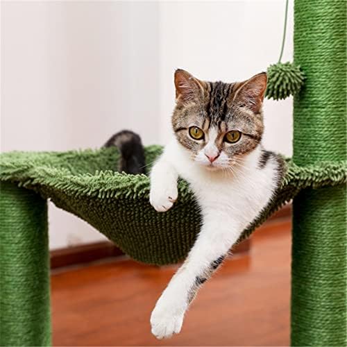 Cacto de arranhões na árvore de gatos kkvee com gato arranhando pós -hammock bola interativa