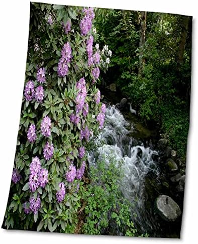 3drose floral roxo rododendro ao lado do riacho - toalhas