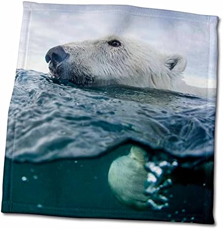 Território de Nunavut 3drose, subaquática, pola de urso -polar - toalhas