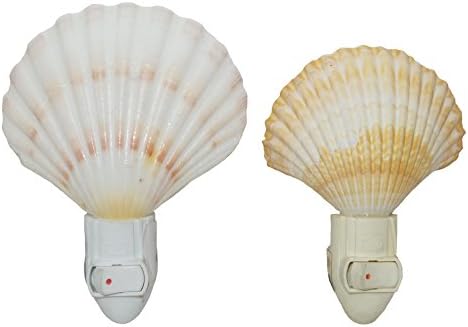 U.S. Shell, Inc. U.S. Shell, Seashell Night Light Conjunto de 2