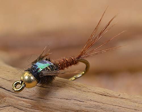 Tungstênio Flash Back Flash Back Pheasant Tail Mayfly Nymph Fly | 1 dúzia de moscas