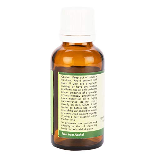 R V Essential PoLi Seed Oil Essential Oil 5ml - Capsicum Annuum
