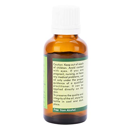 R V essencial de óleo de semente de framboesa pura de framboesa 10ml - Rubus idaeus
