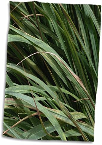 Impressão 3drose de close -up de gramíneas selvagens da Flórida no vento - toalhas