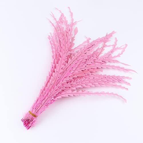 Zamihalaa - 20/50/100pcs tingido de galo rosa cauda penas de penas irregulares 35-40cm Party Home Decoration