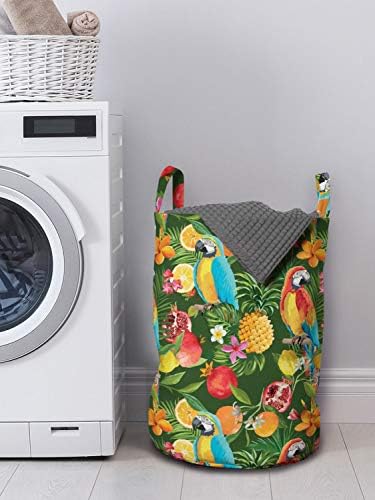 Bolsa de lavanderia tropical de Ambesonne, papagaios exóticos para aquarela Limões de romã suculentos Flores