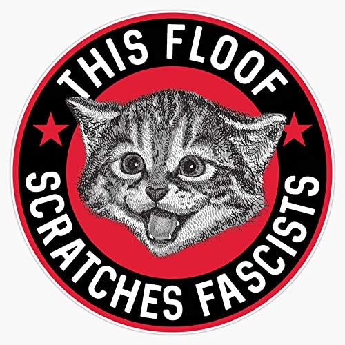 Antifa Kitten adesivo Decal