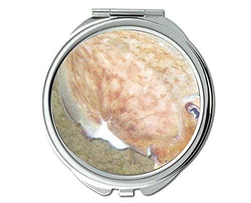 Espelho, espelho de maquiagem, tema de peixe de geléia de espelho de bolso, espelho portátil 1