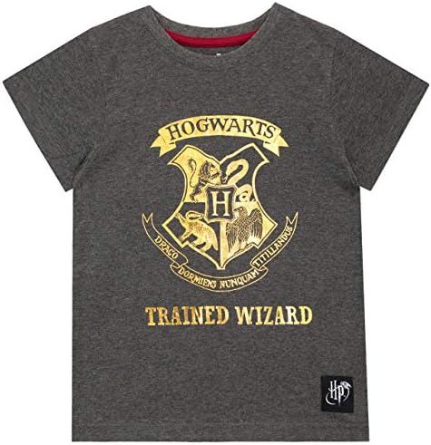 Pacote de camisetas de hogwarts de meninos de Harry Potter de 2