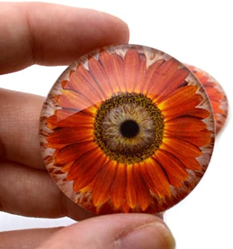 Cabochons de olho de vidro de girassol de outono vermelho para pingente que faz arames jóias embrulhadas