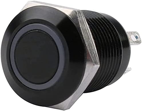 Twrqa 12mm de botão de botão de metal preto oxidado à prova d'água com lâmpada LED Momentary trave PC Power
