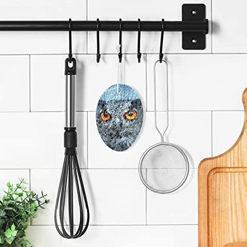 Alaza Owl Moon Halloween Esponja de cozinha natural da cozinha esponjas para pratos para lavar o banheiro