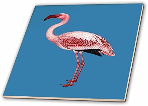 3drose rosa flamingo isolado arte vetorial em azul - azulejos