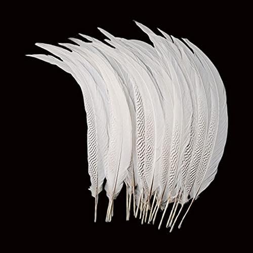 10pcs 10-80cm Plumas brancos naturais de faisão de faisão de prata cauda Lady Amherst Carnival Feathers