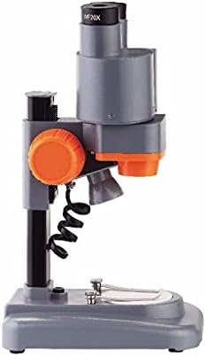 Microscópio estéreo binocular ADFSFD 40X para PCB Solda Mineral Apples Watching Kids Science Education