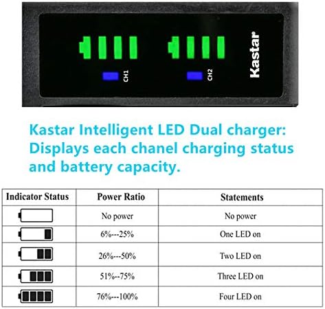 KASTAR CRG-D08S LTD2 Carregador de bateria USB compatível com Panasonic CGR-D08, CGR-D08A/1B, CGR-D08R, CGR-D08S,