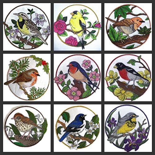 A natureza tecida em fios, Amazing Birds Kingdom [toutinegra do Canadá e Iris Circle [Patch personalizado