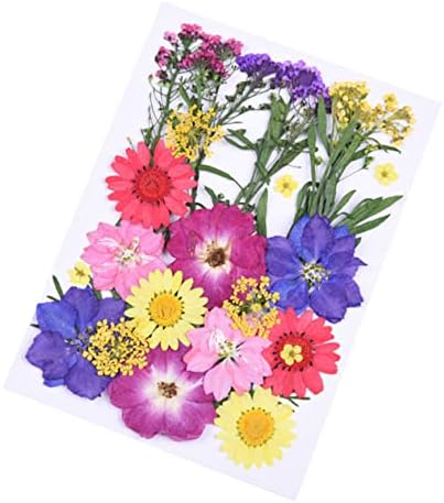 Excelt 30pcs Definir flores secas de flores secas Pétalas prensadas Flores secas para sabonete Fazendo material