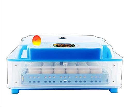 Criador de incubador de ovos moolo, incubadora digital de ovo transparente com giro automático de ovos e função de controle de temperatura de umidade