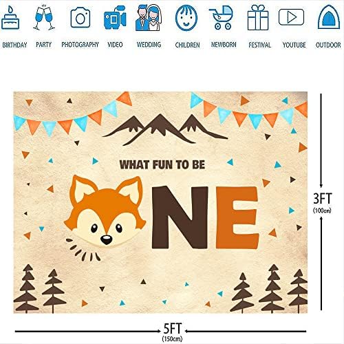 Ticuenicoa 5x3ft Fox Theme1st Birthday Birthday Orange Fox Land Animals tema Que diversão é uma fotografia Bakground
