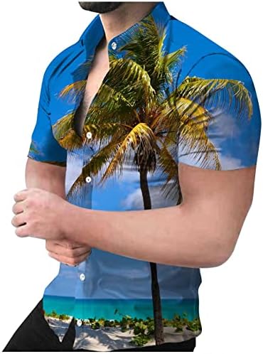 Camisas havaianas para homens, mangas curtas de manga curta camisas havaianas com grande variedade
