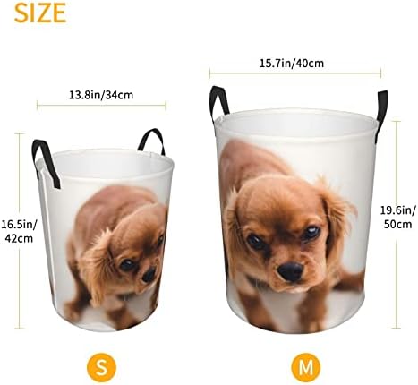 cachorro cão impresso para cesta de lavanderia Circular cesto cura