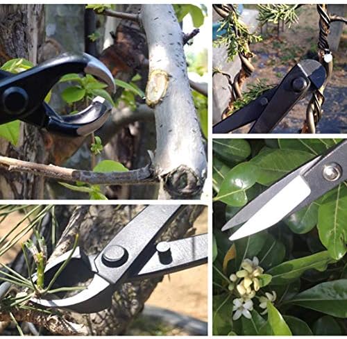 Conjunto de ferramentas de bonsai de 4pcs, multifuncionais de tesoura de planta de jardim de bonsai.