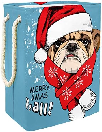 Indicultura de lavanderia cesto de bulldog no chapéu de Papai Noel e cachecol vermelho colapsível
