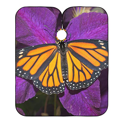 Cabo de barbeiro profissional e avental de barba 2 em 1- Bela Monarch Butterfly Butterfly Flor Purple Flor