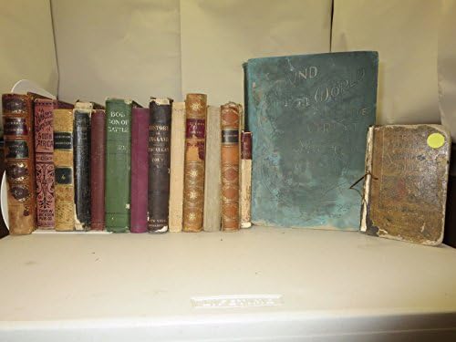 Mini-biblioteca do século XIX lote dos 16 tomes clássicos Prince of Abyssinia , Catechisme