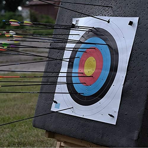 Targetas de arco e flecha Conjunto profissional de dardo eva tiro de tiro com tiro