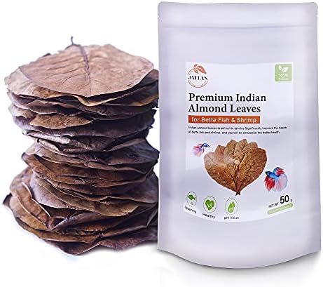 Jaitan Premium Indian Almond Folhas-Condicionador de água, benefícios com aprimoramento da cor da barbatana de peixe, criação eficaz de peixes e camarão Betta, 8 a 10 polegadas, 50g