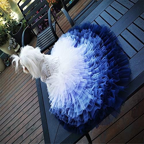 Wzhsdkl Handmade Dog Roupes Dog Princess Dress Lace Vast Ocean Blue Gradient Tulle Skirt Chapel Train Pet