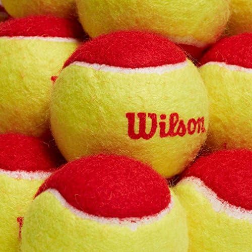 Wilson Starter Tennis Balls