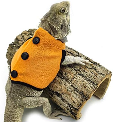Acessórios de tanques de roupas de dragão barbudo fantasia com capuz de répteis ajustáveis ​​vestuário de vestuário artesanal com colete de coletes mangas para proteção de pele de proteção foto