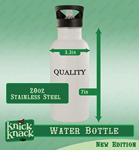 Presentes de Knick Knack Sirocco - 20 onças de aço inoxidável garrafa de água, prata