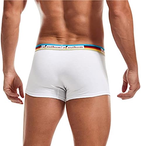 2023 New Shorts calcinha boxers boxers calça de calça sólida casual mass de roupas íntimas de roupas íntimas masculinas de roupas íntimas masculinas