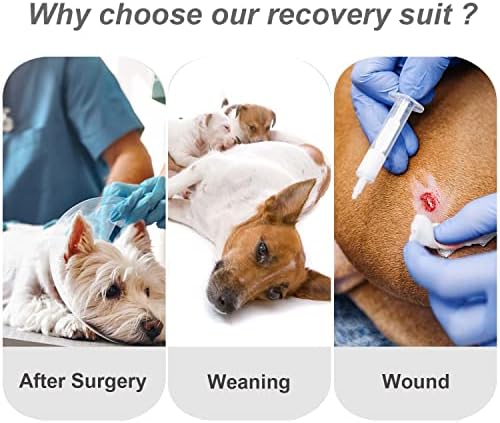 Etdane Dog Surgical Recovery Suit Pet após o macacão de cirurgia para fêmeas de cachorro do sexo feminino Cole