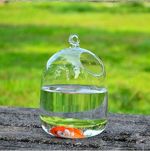 Pequeno vaso de vidro de vidro criativo tanque de peixes aquário de peixe decoração para hotel