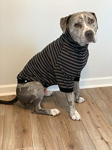 Tooth & Honey Big Dog/Stripe Shirt/Pullover/Cobertura completa da barriga/Para cães grandes/camisa pitbull/preto